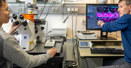 Prof. Dr. Salim Seyfried und Doktorand Van-Cuong Pham im Labor.