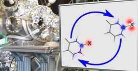 A team led by Prof. Dr. Markus Gühr has observed charge motions in light-excited molecules of thiouracil, a modified nucleobase.