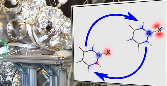 A team led by Prof. Dr. Markus Gühr has observed charge motions in light-excited molecules of thiouracil, a modified nucleobase.