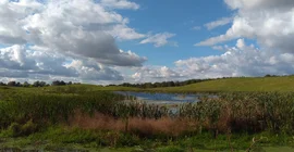 A kettle hole near Damerow. Photo: Carlos Miguel Acame Poveda.