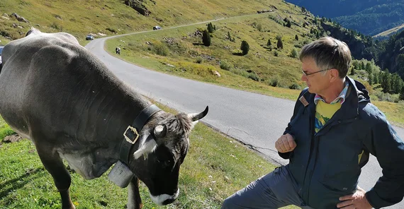 Eine Region im alpinen Raum. Ein Mensch steht neben einer Kuh.