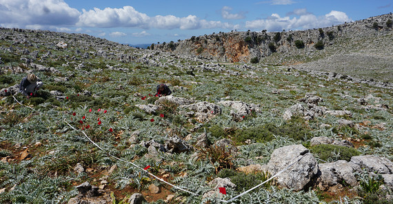 Felsige Landschaft, in der ein Stück mit Flatterband abgesperrt ist