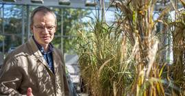 Prof. Dr. Michael Lenhard. Foto: Thomas Roese