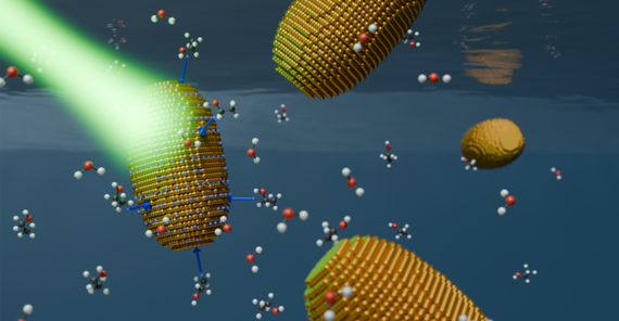 Theoretical illustration of gold nanorods surrounded by water and ethanol molecules.