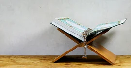 Auf dem Bild ist ein aufgeschlagenes Buch zu sehen.