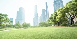 Grüne Städte der Zukunft? Foto: Fotolia.com/Iakov Kalinin.