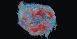 Numerische Simulation des entstehenden Auswurfmaterials zweier verschmelzender Neutronensterne. Rote Farben beziehen sich auf ausgeworfenes Material mit einem hohen Anteil an Neutronen, wohingegen blaues Material einen hohen Anteil an Protonen enthält.