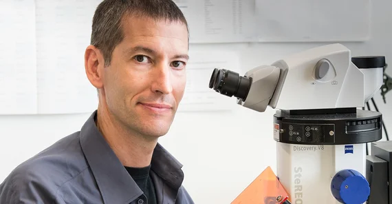 Prof. Dr. Salim Seyfried