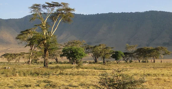 The Ngorongoro on the edge of the Serengeti in Tanzania is home to abundant wildlife. Climate change, however, leads to dramatic water scarcity, vegetation changes, loss of biodiversity and recurring diseases that threaten the fragile ecosystem. | Image Credit: Martin Trauth