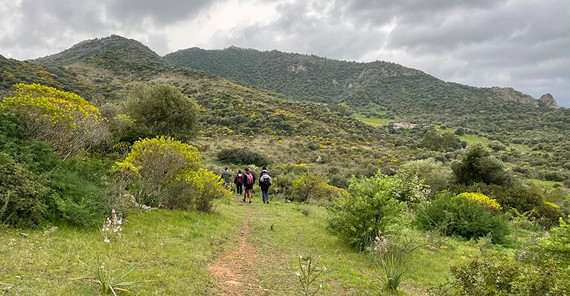 Das Bild zeigt die Potsdamer Studierenden bei einer Wanderung auf dem meernahen Hügel südöstlich von Sarroch. Foto: Juliane Seip