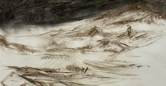 Das Foto zeigt das Kunstobjekt „nichtmehrwirklichnaturstudium II“, Kohle und Torf auf Büttenpapier von Adrian Meier