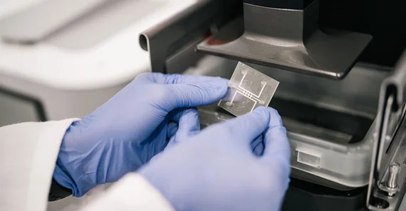 Close-up im Labor von Händen in Laborhandschuhe, die einen großen technischen Chip halten.
