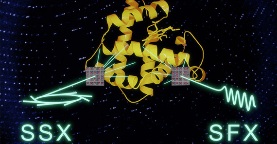 serial synchrotron crystallography (SSX) and serial femtosecond crystallography (SFX) | Image credit: Jörg Harms (MPSD) A systematic comparison shows that serial synchrotron crystallography (SSX) and serial femtosecond crystallography (SFX) can yield data of equivalent quality. This opens new collaborative opportunities exploiting the advantages of both light sources to study biomolecular dynamics. | Image credit: Jörg Harms (MPSD)