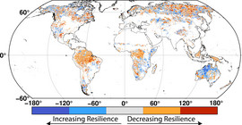 Abbildung der Erde vom Satelliten zeigt Veränderungen der Vegetation