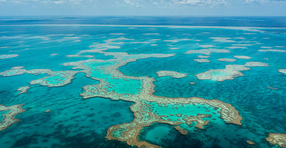 The Great Barrier Reef.
