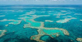 The Great Barrier Reef.
