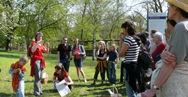 Wildkräuter-Aktionstag (Botanischer Garten)