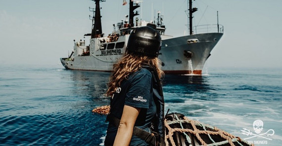 Sea Shepherd