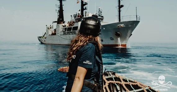 Sea Shepherd