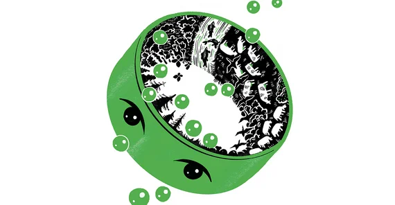 Illustration ökologischer Prozesse