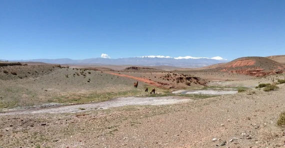 Impressions from the Argentinean Puna. The photo is from Heiko Pingel. Beim anklicken öffnet sich das Bild im neuen Fenster.