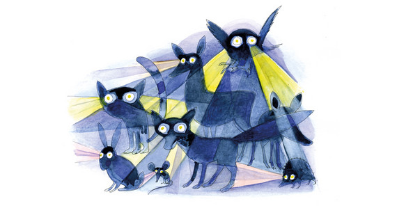 Bildquelle: Barbara Schumann.