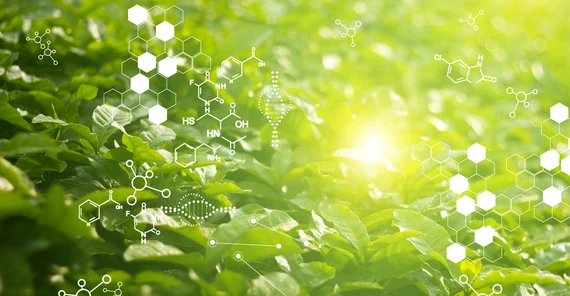 The possibilities of molecular biology are developing rapidly. | Photo: AdobeStock/ipopba