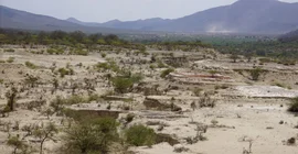 The Olorgesailie Basin in the Kenya Rift Valley, part of the Eastern Branch of the East African Rift System.  In the background the high topography of the Rift’s border faults. | Photo: Corinna Kalich, University of Potsdam