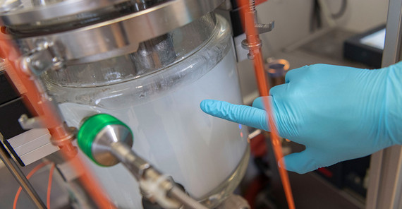 The solution gels and its color changes to white. The researchers determine the viscosity increase point, a measure for the viscosity of the solution, by reading the relative torque, which reaches its highest value at that point.