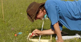 Potsdam biologists are researching the connection between biodiversity and root herbivores on agricultural areas. Photo: Hans Pfestorf.