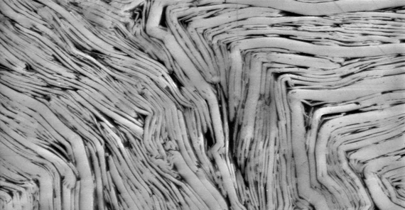 Eine unter dem Rasterelektronenmikroskop sichtbar gemachte Verfaltung von Glimmer (Muskovit) im Mikrometer-Bereich unter einachsiger Kompression bei 200 MPa. | Quelle: Santanu Misra