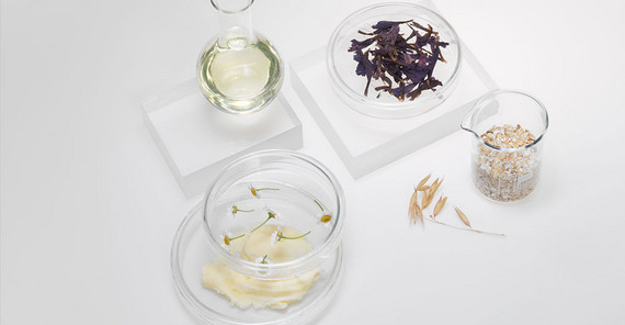 Mikrobiologische Forschung hilft bei der Entwicklung hautverträglicher Pflegecreme auf der Basis natürlicher Inhaltsstoffe | Foto: Reflora Skin Mikrobiologische Forschung hilft bei der Entwicklung hautverträglicher Pflegecreme auf der Basis natürlicher Inhaltsstoffe | Foto: Reflora Skin