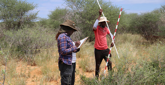 Zwei Forschende führen wissenschaftliche Messungen in der afrikanischen Savanne durch