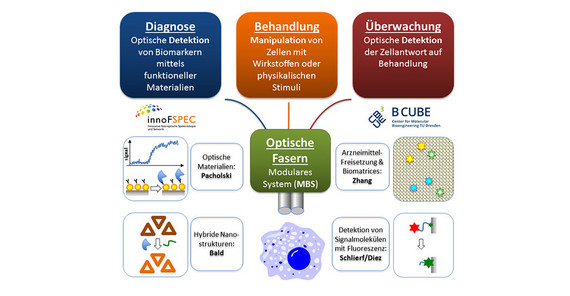 Vision of the MetaZIKs OptiZeD for the development of an integral multiparameter biosensor system (MBS). Photo: © Yixin Zhang Vision of the MetaZIKs OptiZeD for the development of an integral multiparameter biosensor system (MBS). Photo: © Yixin Zhang