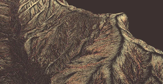 Point cloud image of Santa Cruz Island | Photo: Prof. Dr. Bodo Bookhagen