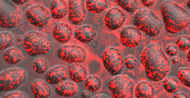 Mikroskopisch kleine Wassertropfen, die mit einer Schicht Lecithine überzogen sind. (Foto: Max-Planck-Institut für Kolloid- und Grenzflächenforschung/Roland Knorr)