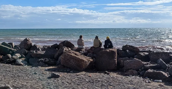 Studierende sitzen am Strand und blicken aufs Meer