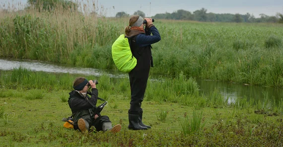 Studentinnen am grünen Ufer, die mit Ferngläsern Beobachtungen vornehmen.