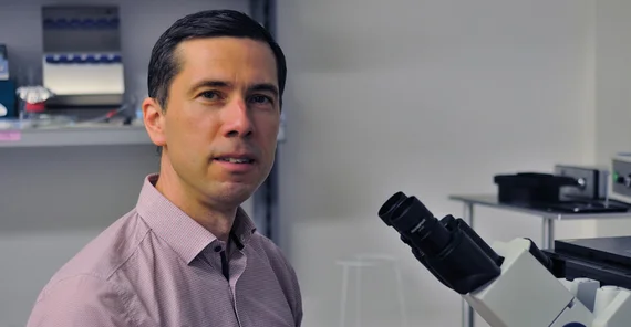 Prof. Dr. Carsten Beta