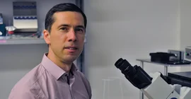 Prof. Dr. Carsten Beta