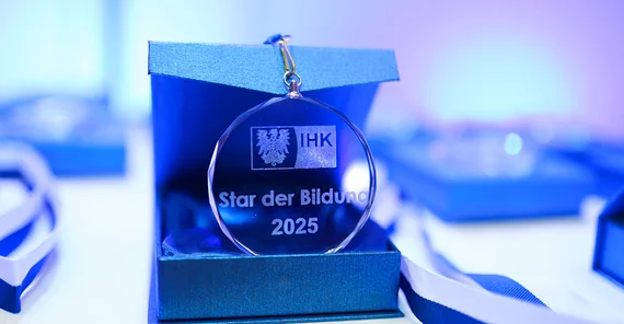 Medaille der Auszeichnung „Star der Bildung“