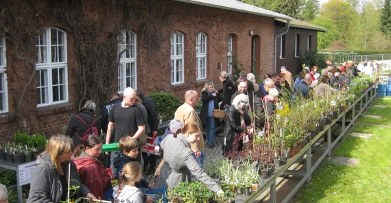Menschen, die sich Pflanzen anschauen