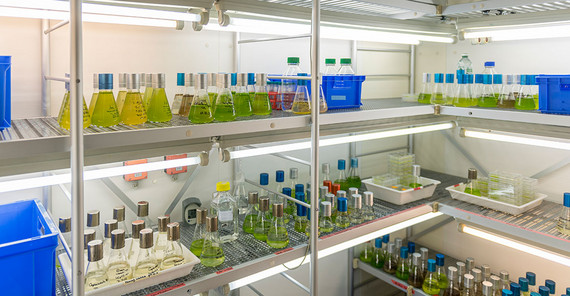 Die begehbare Probenkammer vom Projekt „DynaTrait“.