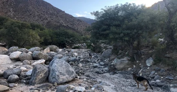 Das Bild zeigt die Stufenbecken im Rio de la Paya als Folge eines extremen Niederschlags- und Abflussereignisses. Das Foto ist von Bodo Bookhagen. Beim Anklicken öffnet sich das Bild im neuen Fenster.