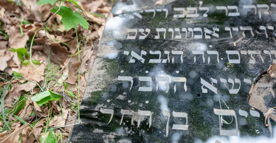 Der jüdische Friedhof in Skwierzyna. Das Foto ist von Justyna Hrabska.