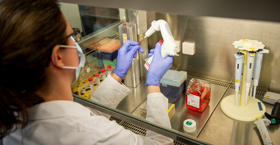 Die Arbeitsgruppe von Katja Hanack hat ein neuartiges Testsystem für das SARSCoV-2-Virus entwickelt. | Foto: Tobias Hopfgarten