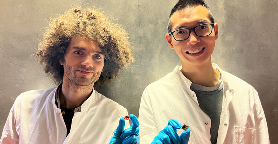 Felix Lang and Guorui He with perovskite OPV solar cells.