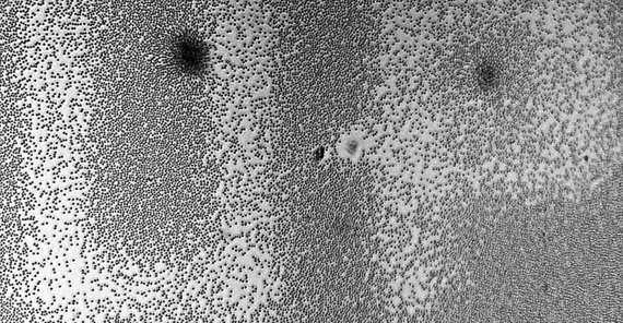 Foto: Initialen der Universität Potsdam, geschrieben in der Monolage von Mikropartikeln. Foto: Prof. Dr. Svetlana Santer.