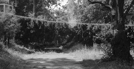 Joulia Hoppen: Palimpsest 1, 2022, Griebnitzsee-Projekt