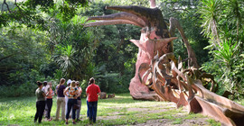 Osun-Osogbo-Hain. Photo: Valerie Pobloth/Isabel Dückert.